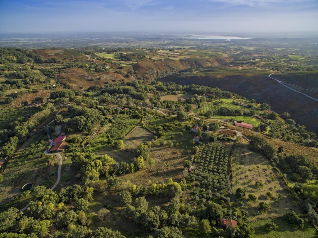 Abejas 1 De El Vergel De Chilla Candeleda Exteriör bild